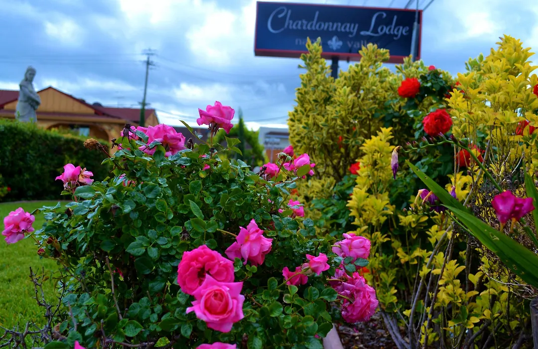 Chardonnay Lodge-1
